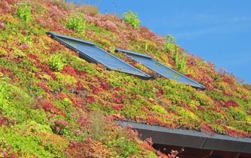 Dilham living roof systems